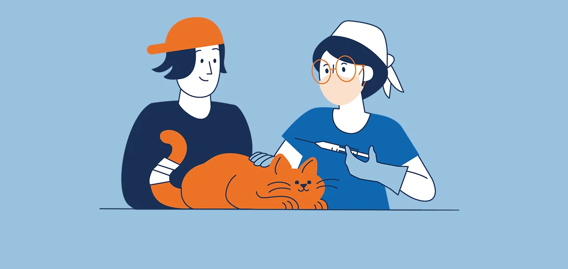 Grafik Kreditrechner Tierarzt