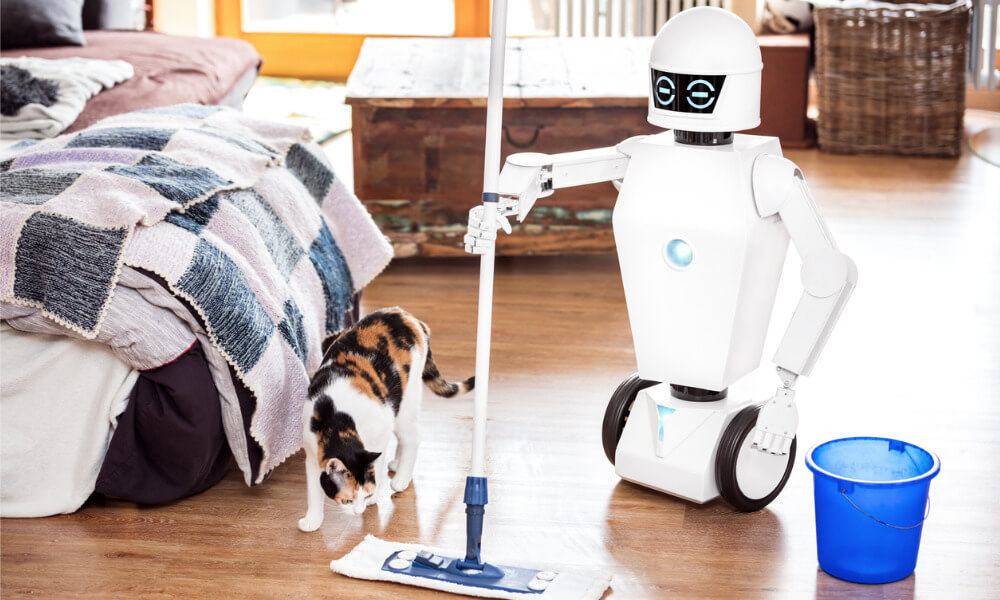 Foto Katze mit Roboter